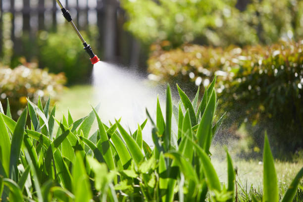 Tamper-Resistant Bait Stations for Rodents in Tillmans Corner