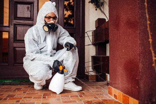 Attic and Crawl Space Rodent Treatment in Tillmans Corner