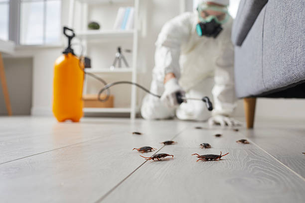 Commercial Rodent Management in Tillmans Corner
